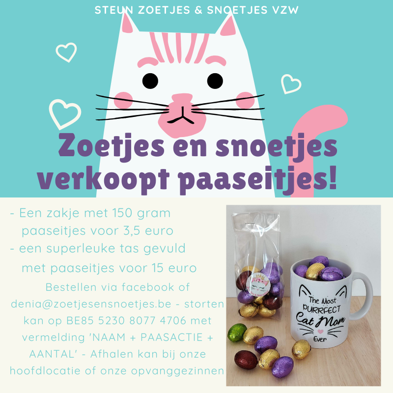 Pink and Green Cat Illustration Hug Your Cat Social Media Graphic (2)