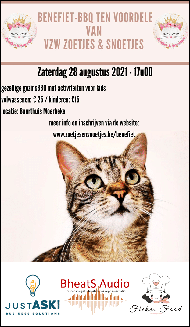 Affiche_BBQZenS